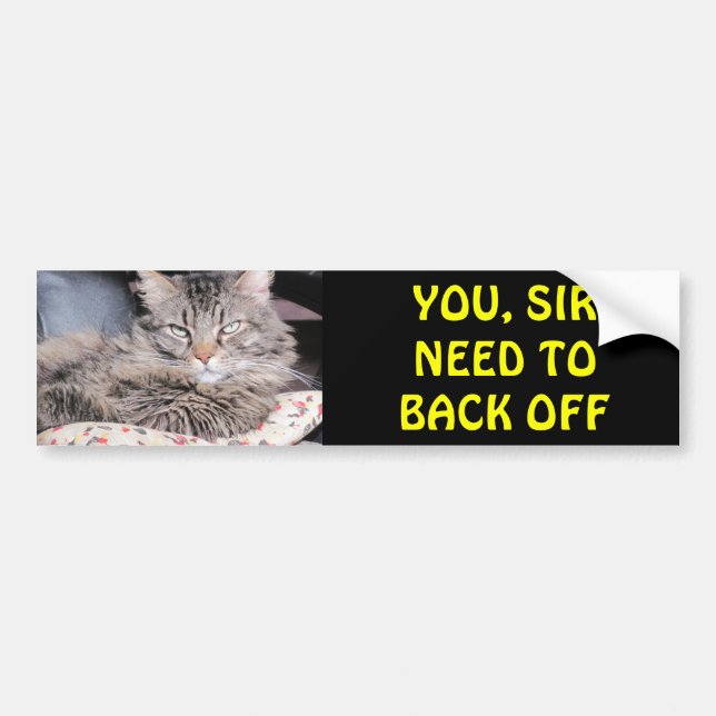 Pegatina Para Coche El gato de parachoques dice, que usted sir Need To (Frente)