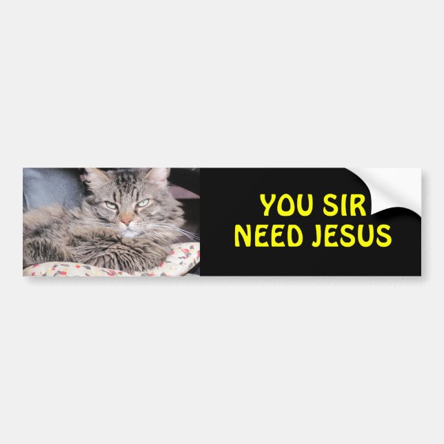 Pegatina Para Coche El gato de parachoques dice, usted sir Need Jesús (Frente)
