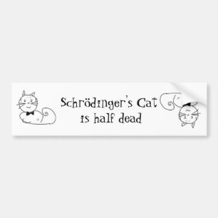 Pegatina Para Coche El gato de Schrödinger