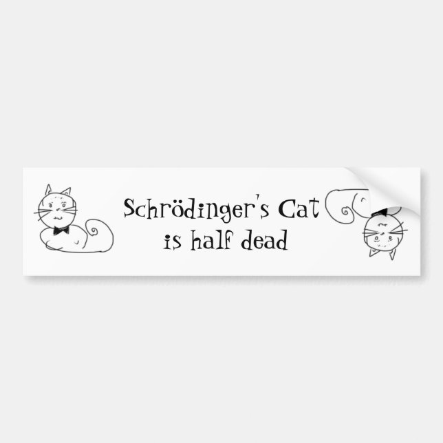 Pegatina Para Coche El gato de Schrödinger (Frente)