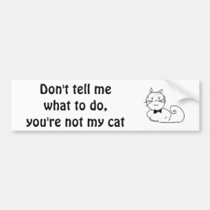Pegatina Para Coche El gato es mi jefe