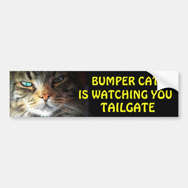 Pegatina Para Coche El gato parachoque está viendo TAILGATE 2.5 (Frente)
