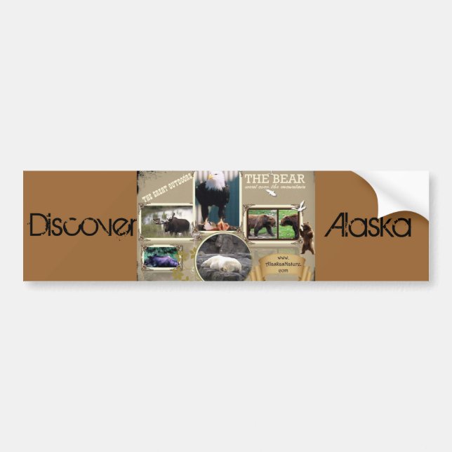 Pegatina Para Coche El gran exterior en Alaska (Frente)