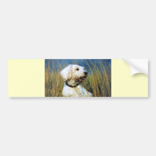 Pegatina Para Coche El mejor amigo de un hombre