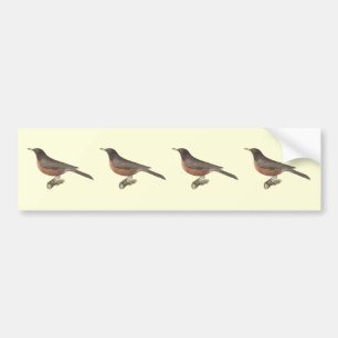 Pegatina Para Coche El petirrojo americano	(migratoria de Merula)
