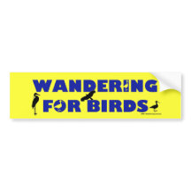 El vagar para los pájaros