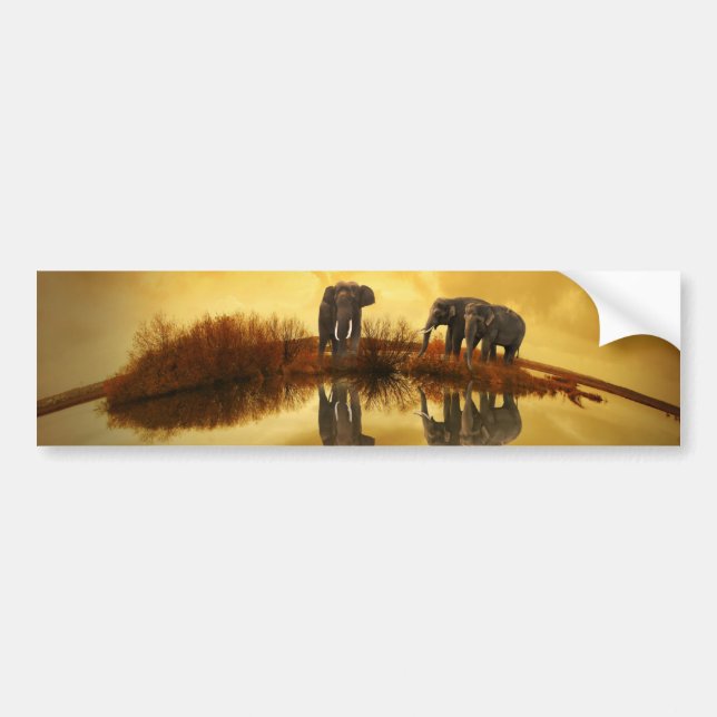 Pegatina Para Coche Elefante (Frente)