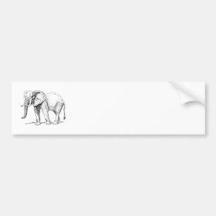 Pegatina Para Coche Elefante africano