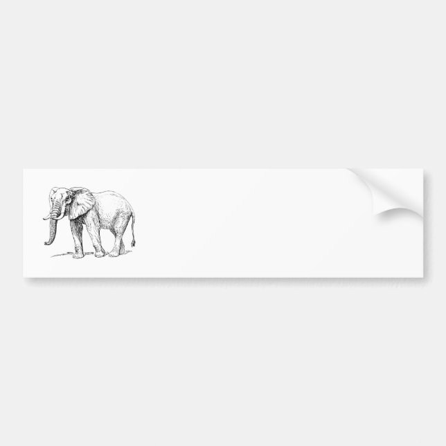Pegatina Para Coche Elefante africano (Frente)