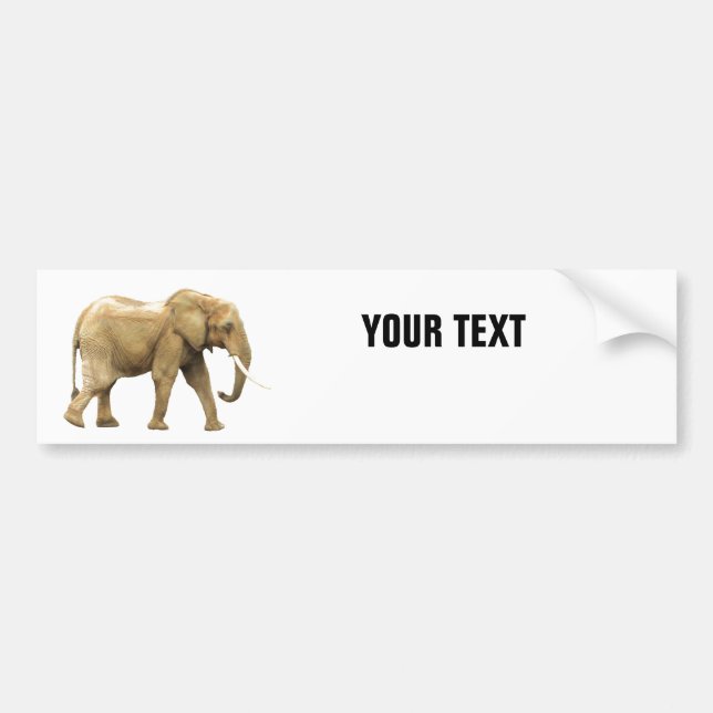 Pegatina Para Coche Elefante tu texto "Folio Condensec" en blanco (Frente)
