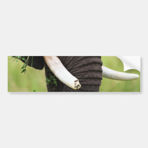 Pegatina Para Coche Elephant