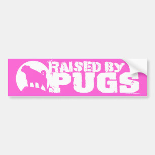 Pegatina Para Coche ELEVADO POR PUGS Pink Bumper Sticker