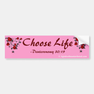 Pegatina Para Coche Elogio N Cita Rosa Biblia Personalizar