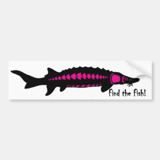 Pegatina Para Coche encuentre los pescados, PINK2