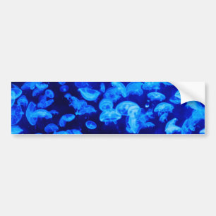 Pegatina Para Coche Enjambre de medusas