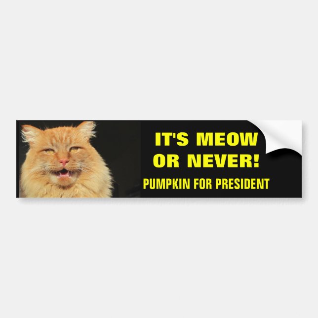 Pegatina Para Coche ¡Es Meow o Nunca! Calabaza para presidente (Frente)
