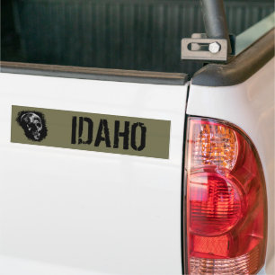 PEGATINA PARA COCHE ESCUELA DE IDAHO