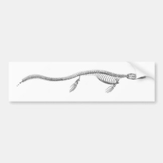 Pegatina Para Coche Esqueleto de Tylosaurus