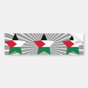 Pegatina Para Coche Estrella de Palestina