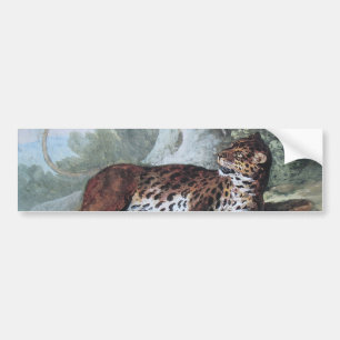 Pegatina Para Coche Estudio de un leopardo (por Jean-Baptiste Oudry)