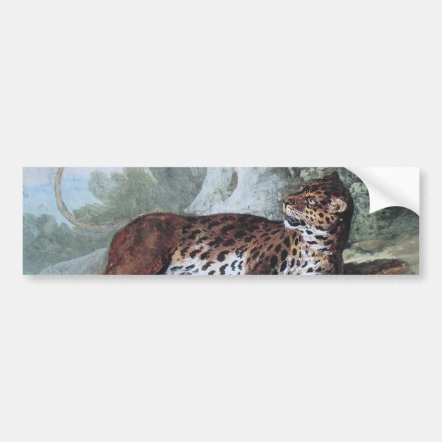 Pegatina Para Coche Estudio de un leopardo (por Jean-Baptiste Oudry) (Frente)