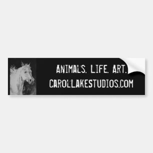 Pegatina Para Coche Estudios Bumpersticker del lago carol