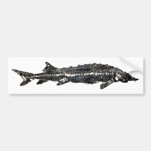 Pegatina Para Coche Esturión blanco Gyotaku-40-Item