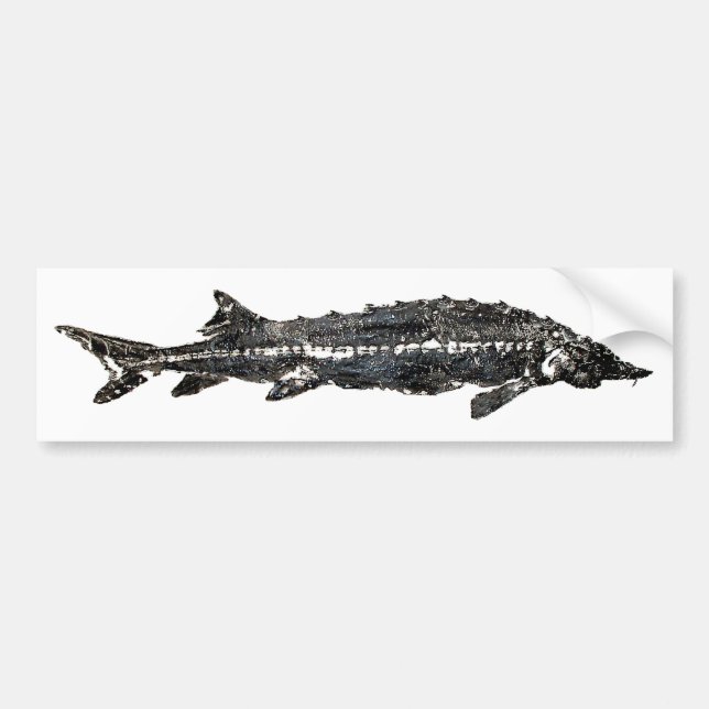 Pegatina Para Coche Esturión blanco Gyotaku-40-Item (Frente)