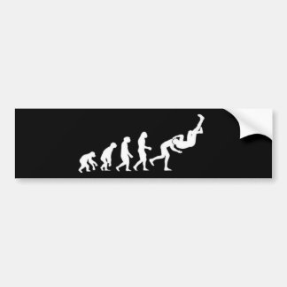 Pegatina Para Coche Evolución RKO