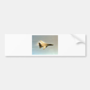 PEGATINA PARA COCHE F-14 TOMCAT CON EL VAPOR
