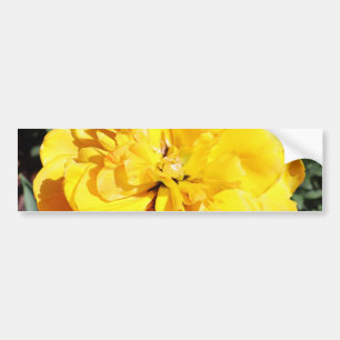 Pegatina Para Coche Falln Sunshine Floral