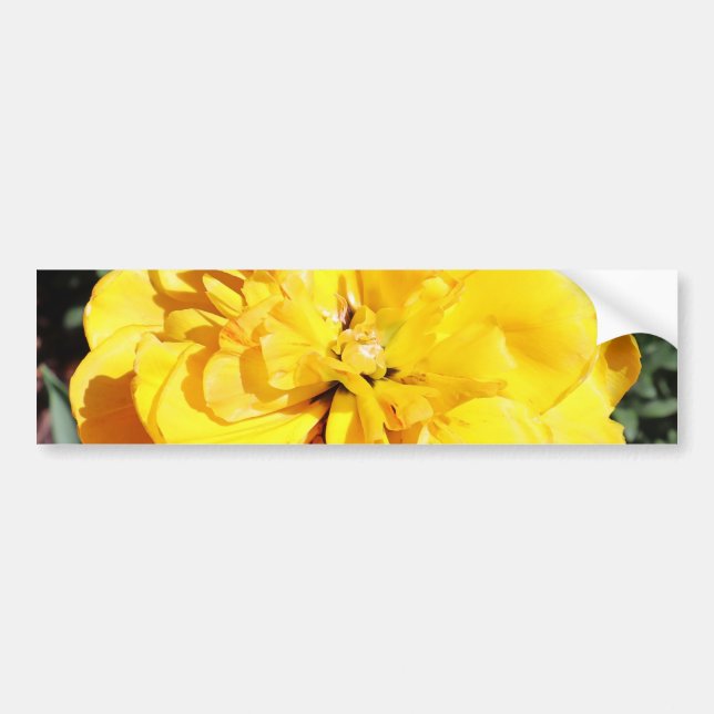 Pegatina Para Coche Falln Sunshine Floral (Frente)