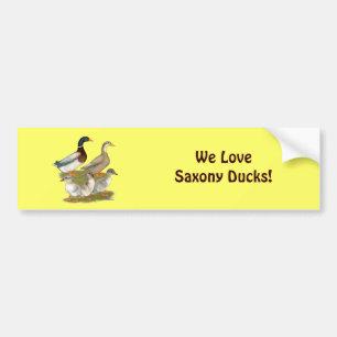 Pegatina Para Coche Familia Sajonia Duck