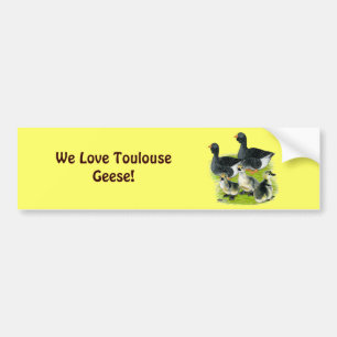 Pegatina Para Coche Familia Toulouse Goose