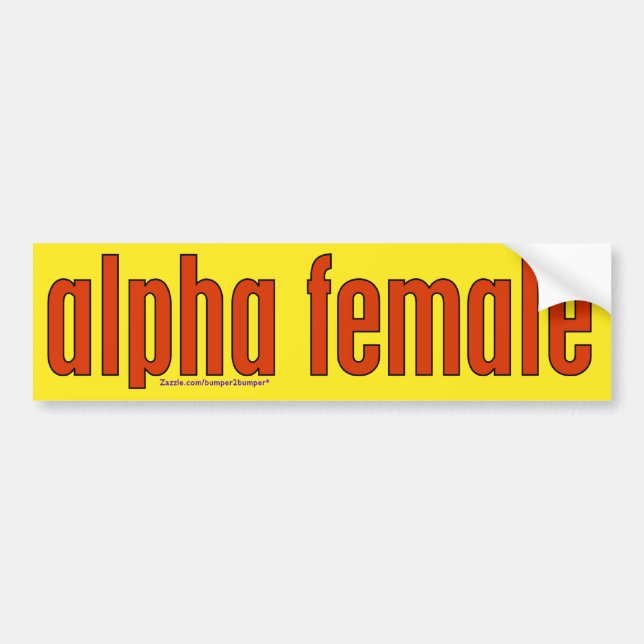 Pegatina Para Coche Femenino (Frente)