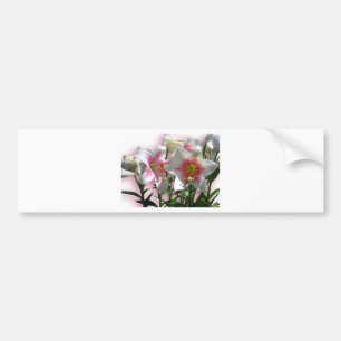 Pegatina Para Coche Fiesta de ducha del amor del jardín de la primaver