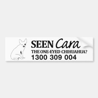 Pegatina Para Coche FindCara BumperSticker
