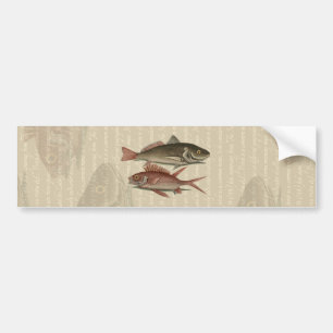 Pegatina Para Coche Fish Red Perch Fisher Art