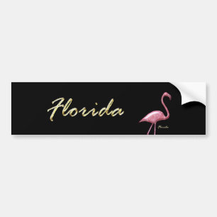 Pegatina Para Coche Flamenco de la Florida