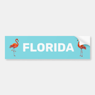 Pegatina Para Coche Flamencos de Florida Hermosos sobre Azul Claro