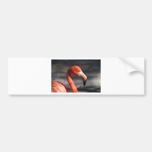 Pegatina Para Coche Flamingo