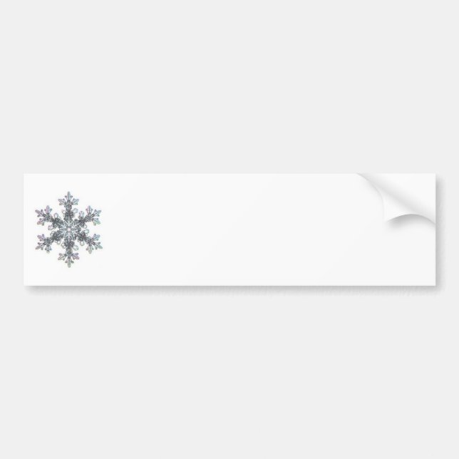 Pegatina Para Coche Flauta de nieve (Frente)