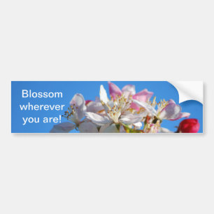 Pegatina Para Coche Flor de cerezo radiante