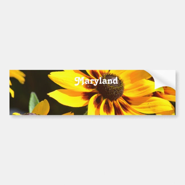 Pegatina Para Coche Flor de estado de Maryland (Frente)
