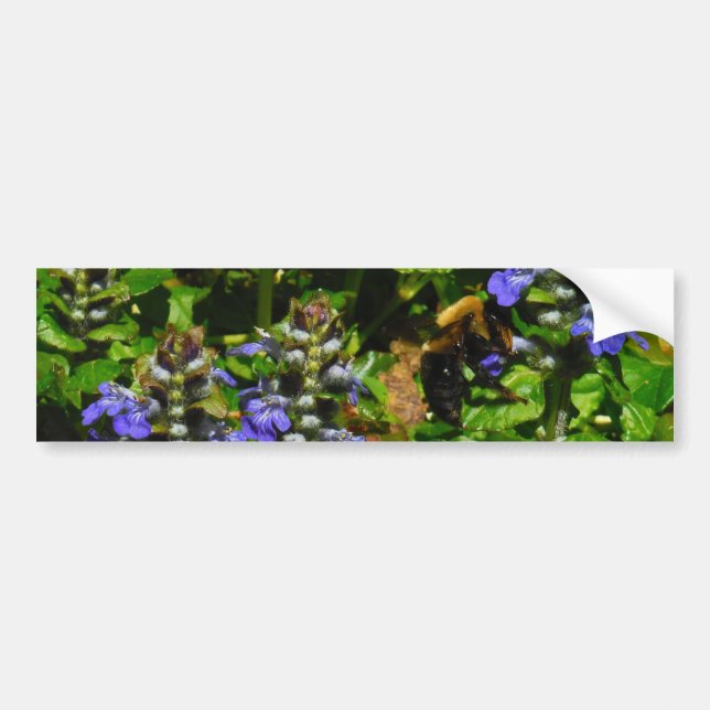 Pegatina Para Coche Flor morada y abeja burbuja (Frente)