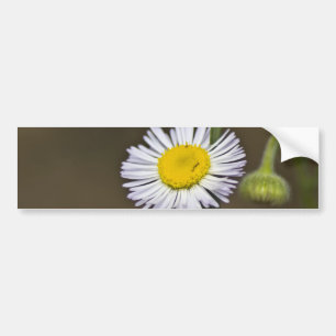 Pegatina Para Coche Flor silvestre