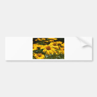 Pegatina Para Coche flores-2824808