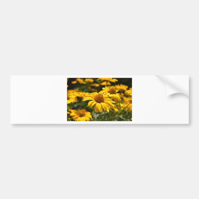 Pegatina Para Coche flores-2824808 (Frente)