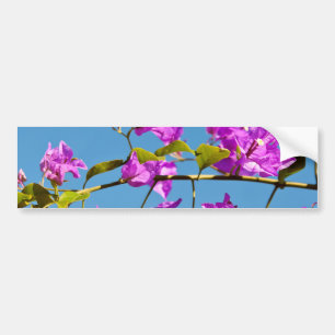 Pegatina Para Coche Flores de Buganvilla