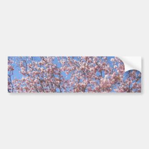 Pegatina Para Coche Flores de cerezo